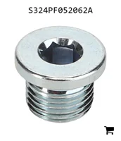 AGCO S324PF052062A Винт-заглушка