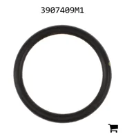AGCO 3907409M1 Уплотнительное кольцо