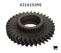 AGCO 4314192M4 Шестерня