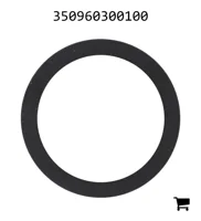 AGCO 350960300100 Уплотнительная шайба