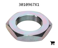 AGCO 3010967X1 Шестигранная гайка