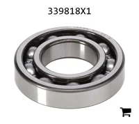 AGCO 339818X1 Подшипник шариковый