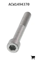 AGCO ACW1494370 Установочный винт с шестигранной головкой