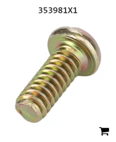 AGCO 353981X1 Винт