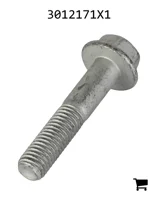 AGCO 3012171X1 Болт с шестигранной головкой и фланцем