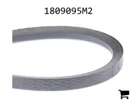AGCO 1809095M2 Ремень клиновой