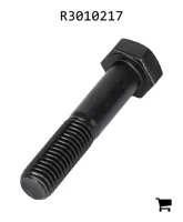 AGCO R3010217 Винт