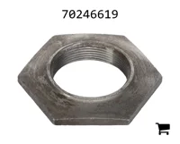 AGCO 70246619 Гайка