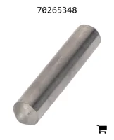 AGCO 70265348 Плунжер