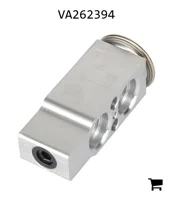 AGCO VA262394 Клапан