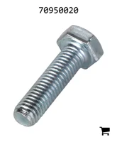 AGCO 70950020 Винт с шестигранной головкой