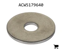 AGCO ACW5179640 Шайба
