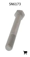 AGCO SN6173 Болт с шестигранной головкой