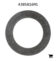 AGCO 4305816M1 Шайба