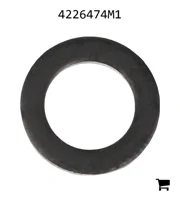 AGCO 4226474M1 Шайба