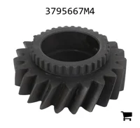 AGCO 3795667M4 Шестерня