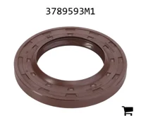 AGCO 3789593M1 Прокладка