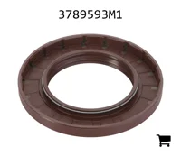 AGCO 3789593M1 Прокладка