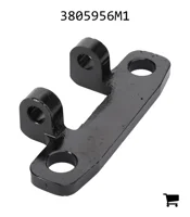 AGCO 3805956M1 Петля двери