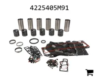 AGCO 4225405M91 Комплект для капитального ремонта двигателя