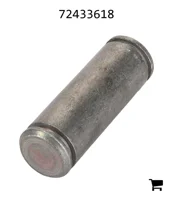 AGCO 72433618 Болт