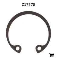 AGCO Z17578 Стопорное кольцо