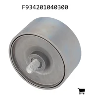 AGCO F934201040300 Натяжной ролик