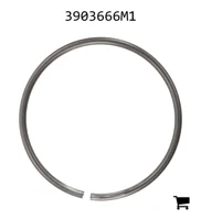 AGCO 3903666M1 Кольцо