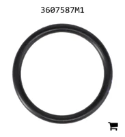 AGCO 3607587M1 Уплотнительное кольцо цилиндра
