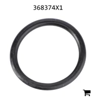 AGCO 368374X1 Уплотнительное кольцо муфты, Ø 20,30 X 2,62 мм