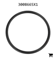 AGCO 3008665X1 Уплотнительное кольцо