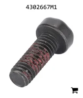 AGCO 4302667M1 Винт с потайной головкой
