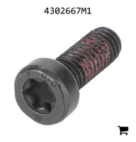 AGCO 4302667M1 Винт с потайной головкой
