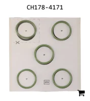 AGCO CH178-4171 Ремкомплект