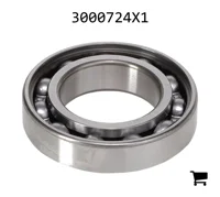 AGCO 3000724X1 Цилиндрический шариковый подшипник