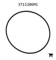 AGCO 3711206M1 Уплотнительное кольцо