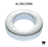 AGCO AL5013904 Шайба