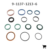 AGCO 9-1137-1213-6 Ремкомплект