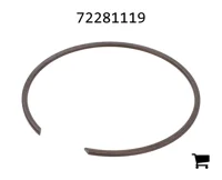 AGCO 72281119 Стопорное кольцо