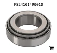 AGCO F824101490010 Роликовый подшипник