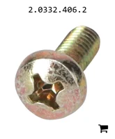 AGCO 2.0332.406.2 Винт