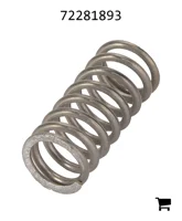 AGCO 72281893 Пружина