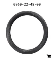 AGCO 0960-22-48-00 Уплотнительное кольцо