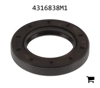AGCO 4316838M1 Масляный сальник