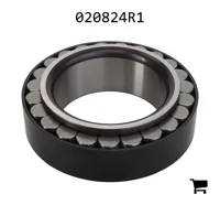 AGCO 020824R1 Подшипник