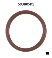 AGCO 593805D1 Уплотнительное кольцо