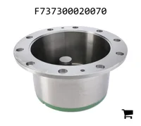 AGCO F737300020070 Планетарная передача