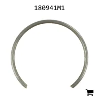 AGCO 180941M1 Кольцо