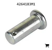 AGCO 4264183M1 Палец