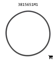 AGCO 3815651M1 Уплотнительное кольцо гидромуфты